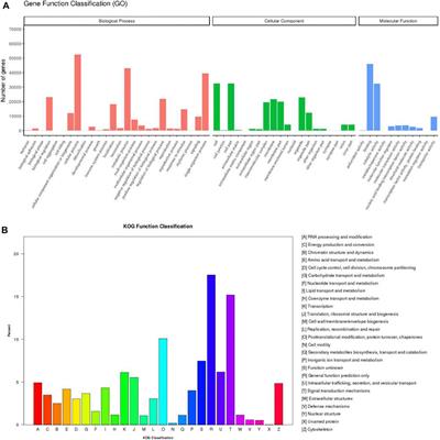 Development of Microsatellite Markers Based on Transcriptome Sequencing and Evaluation of Genetic Diversity in Swimming Crab (Portunus trituberculatus)